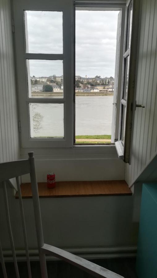 Appartement Spacieux Vue Sur Loire Proche Du Centre بلْوا المظهر الخارجي الصورة