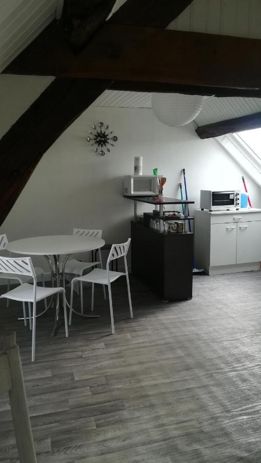 Appartement Spacieux Vue Sur Loire Proche Du Centre بلْوا المظهر الخارجي الصورة