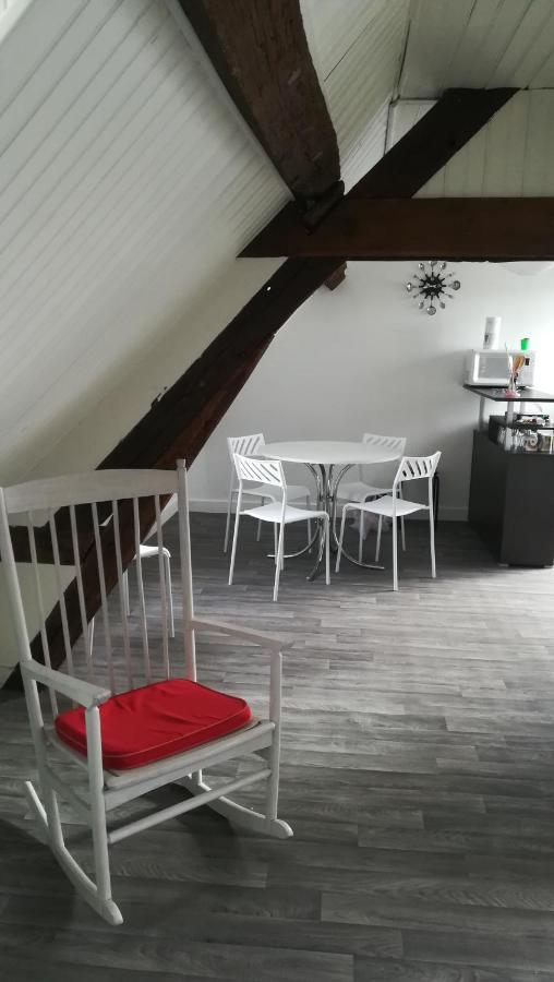 Appartement Spacieux Vue Sur Loire Proche Du Centre بلْوا المظهر الخارجي الصورة