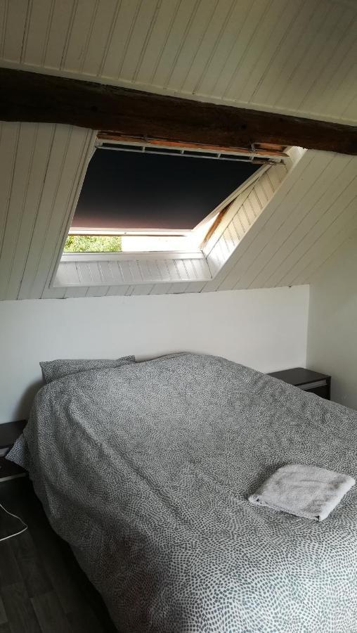 Appartement Spacieux Vue Sur Loire Proche Du Centre بلْوا المظهر الخارجي الصورة