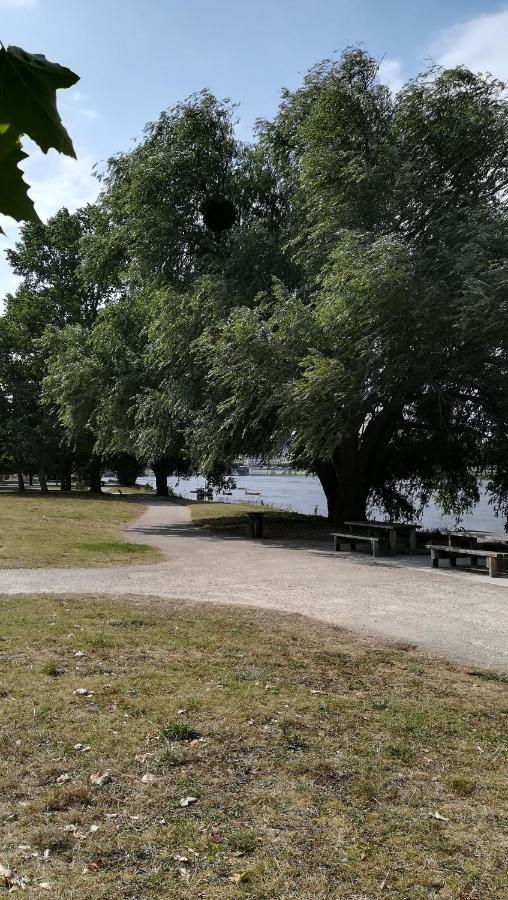 Appartement Spacieux Vue Sur Loire Proche Du Centre بلْوا المظهر الخارجي الصورة