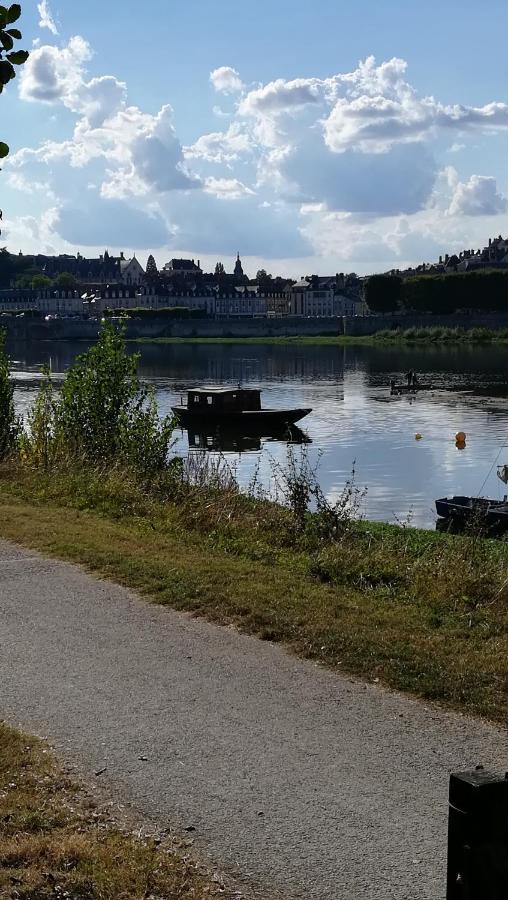 Appartement Spacieux Vue Sur Loire Proche Du Centre بلْوا المظهر الخارجي الصورة