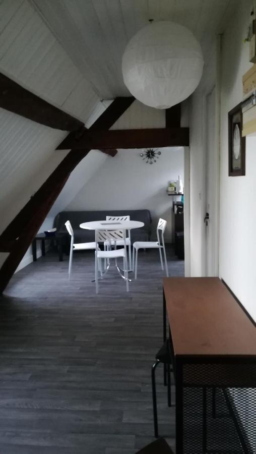 Appartement Spacieux Vue Sur Loire Proche Du Centre بلْوا المظهر الخارجي الصورة