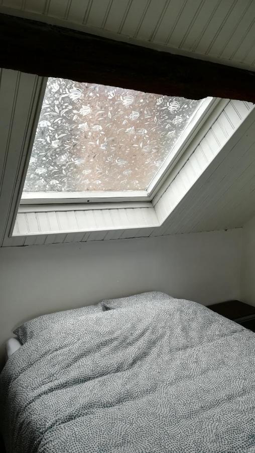 Appartement Spacieux Vue Sur Loire Proche Du Centre بلْوا المظهر الخارجي الصورة