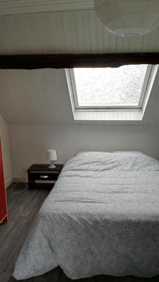 Appartement Spacieux Vue Sur Loire Proche Du Centre بلْوا المظهر الخارجي الصورة