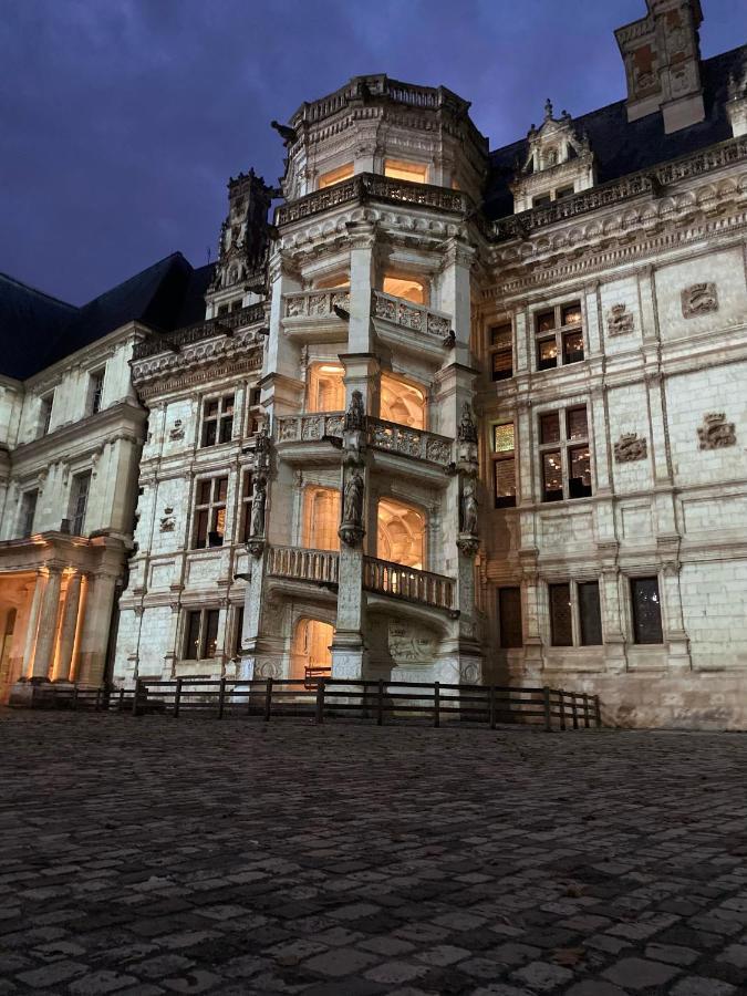 Appartement Spacieux Vue Sur Loire Proche Du Centre بلْوا المظهر الخارجي الصورة