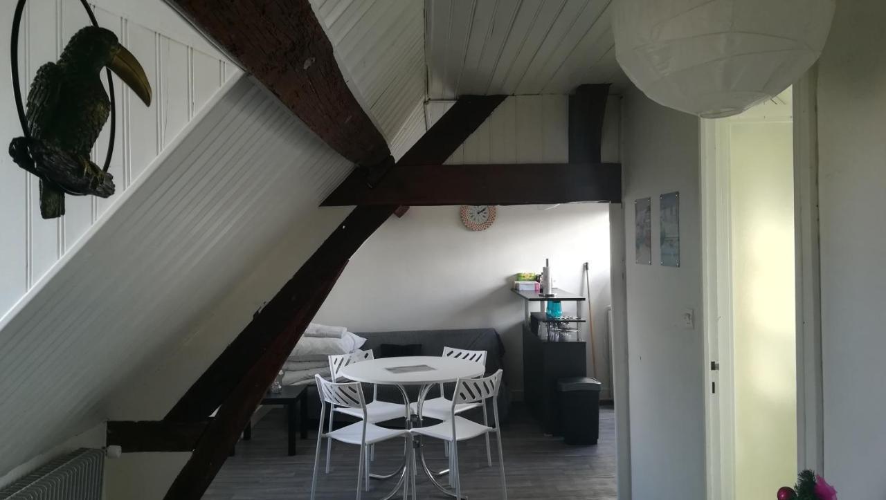 Appartement Spacieux Vue Sur Loire Proche Du Centre بلْوا المظهر الخارجي الصورة